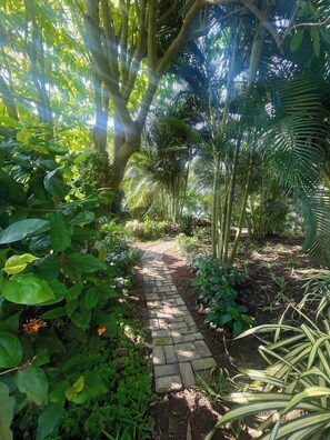 A garden pathway surrounded by lush greenery and trees. - Garden loft 302 (Adenta Municipality)