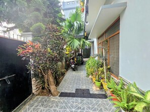 Un camí estret amb rajoles dibuixades que condueix a la porta d'un edifici, envoltat de diverses plantes en testos i un arbre.