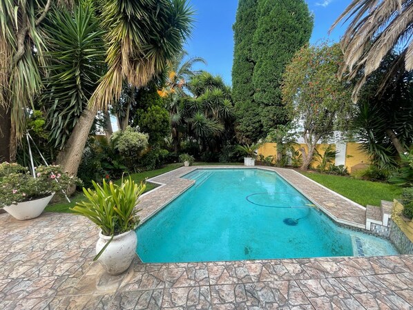 Una piscina rectangular con borde de azulejos, rodeada de una variedad de plantas y árboles tropicales.