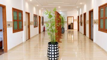 A hotel corridor with a polished floor, wooden doors, and a potted bamboo plant.