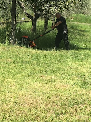 Uma pessoa corta a grama com uma cortadora em um campo gramado, com árvores ao fundo.