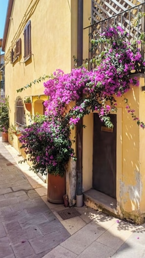 A building with a yellow facade, a black door, and a window with shutters. - La Cicala (Rosignano Marittimo)