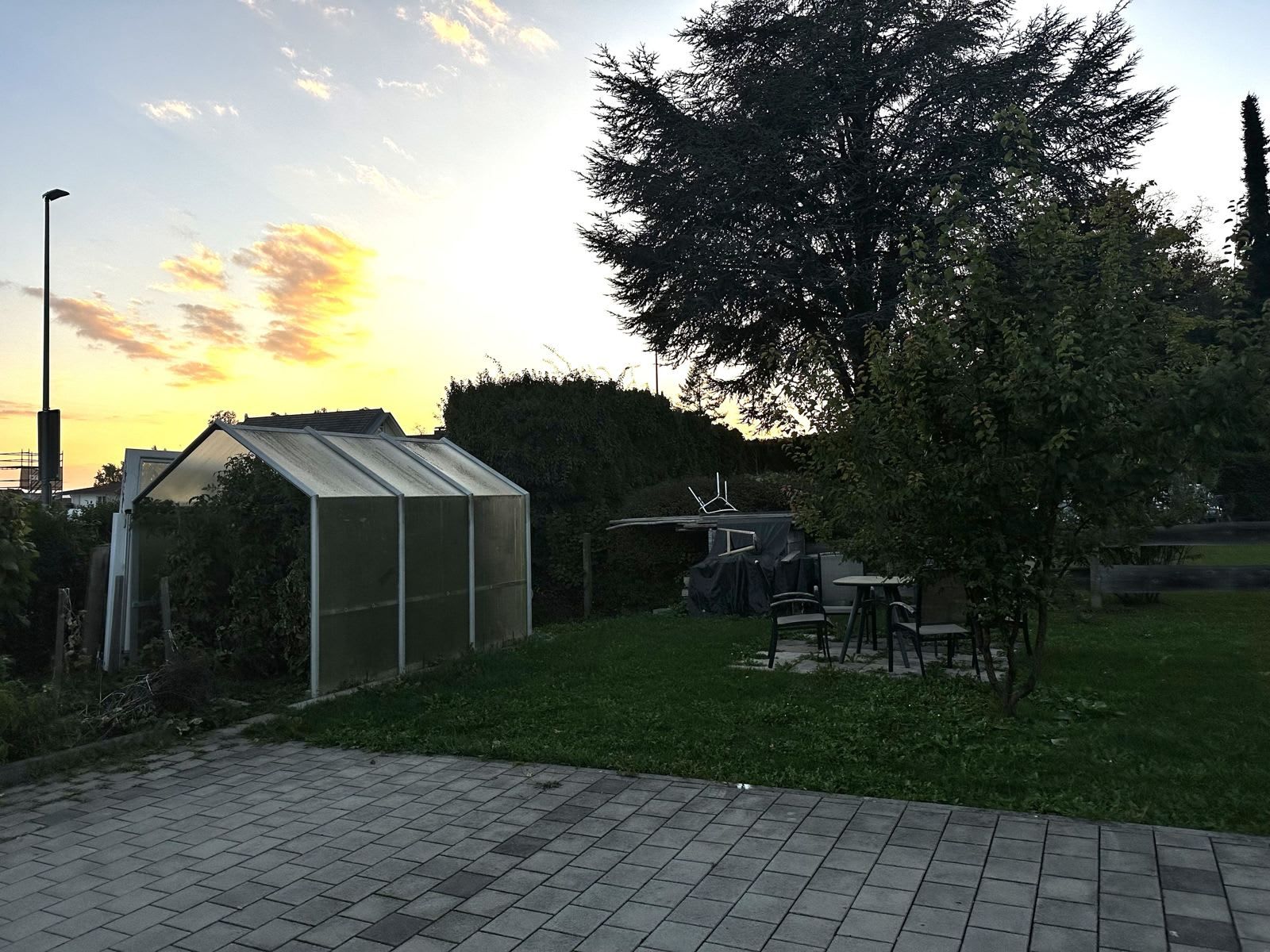 A greenhouse with a metal roof, surrounded by grass and trees.