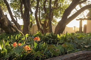 A garden with trees and flowering plants. - Milkwood Sanctuary, 6-Bed Home in Hermanus (Hermanus)