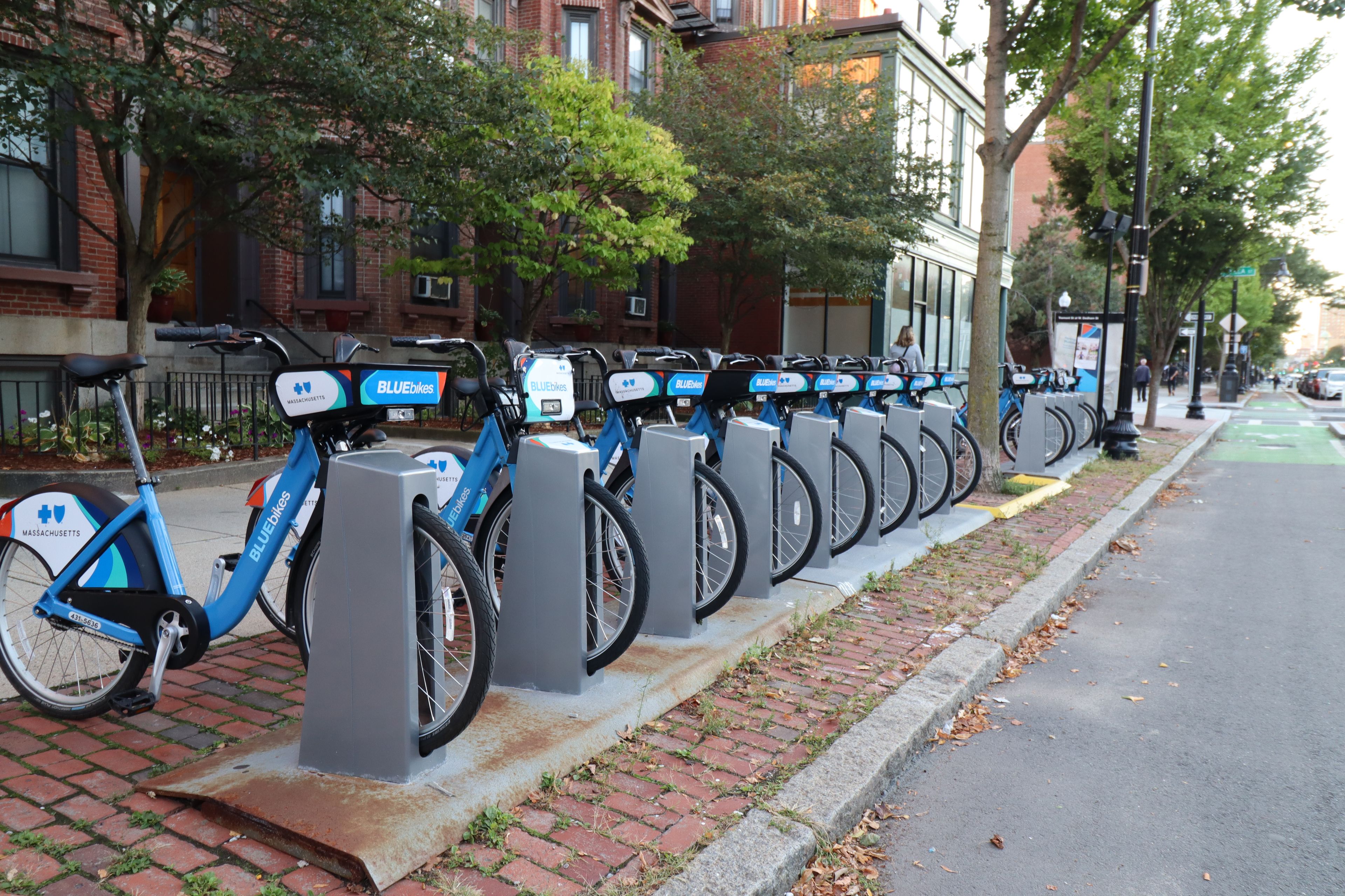 A row of blue bicycles parked at a bike-sharing station on a city street.