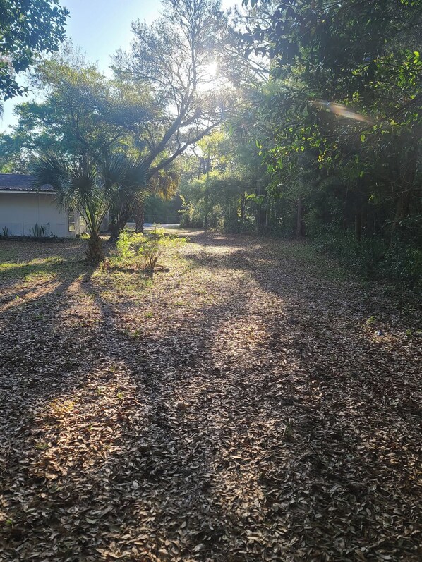 Un sentier recouvert de feuilles mortes, bordé d’arbres, avec un bâtiment visible au loin.