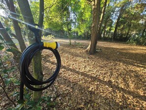 Un tuyau d’arrosage était enroulé autour du tronc d’un arbre dans une zone boisée.