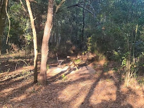 A forested area with a dirt path leading through it.