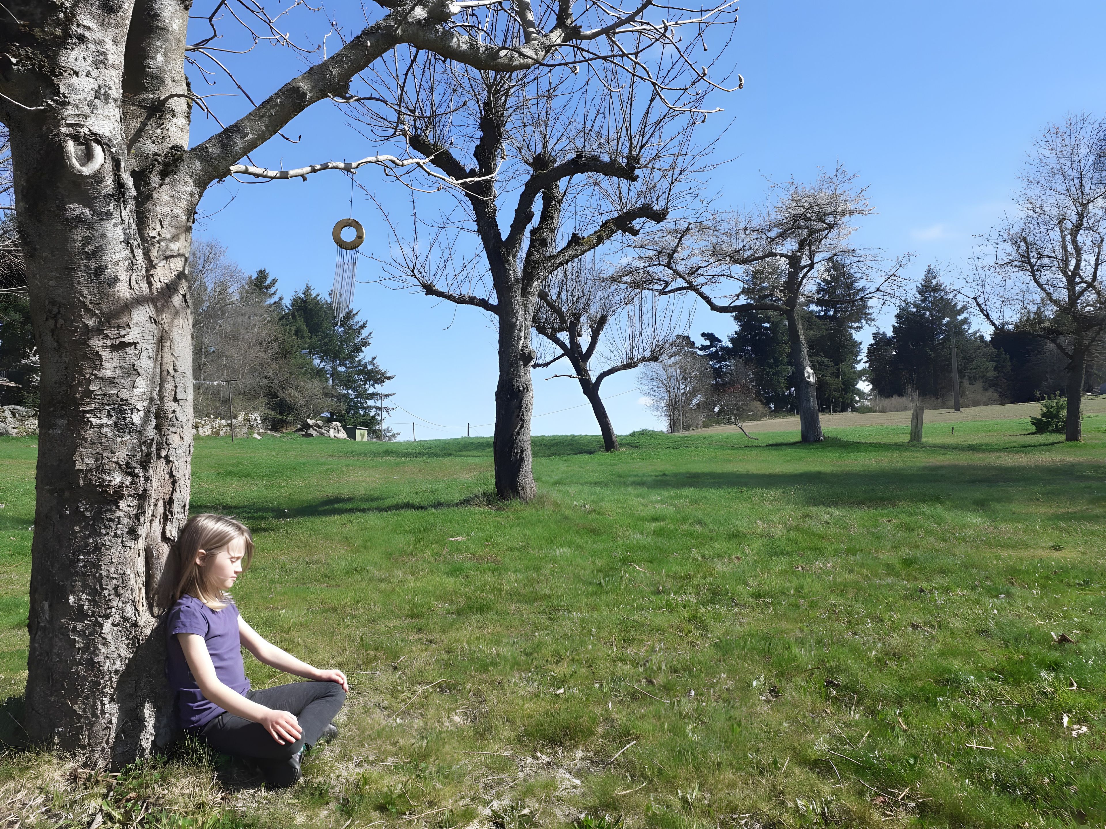 A person sitting on grass near a tree in a park.