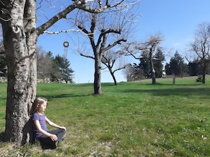A person sitting on grass near a tree in a park.