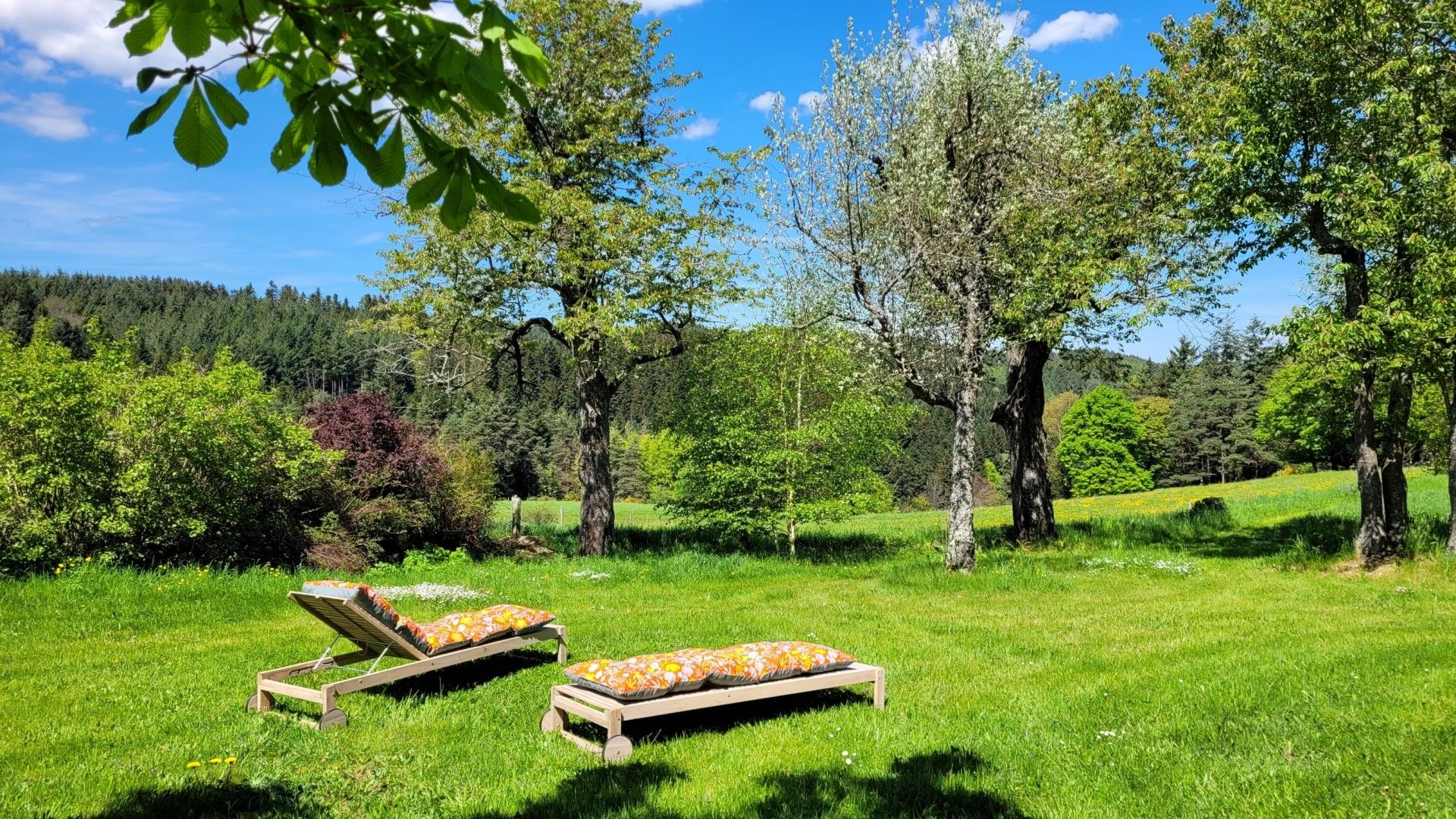 Un espace extérieur verdoyant avec deux chaises longues en bois et un banc.