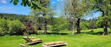 A grassy outdoor area with two wooden lounge chairs and a bench.