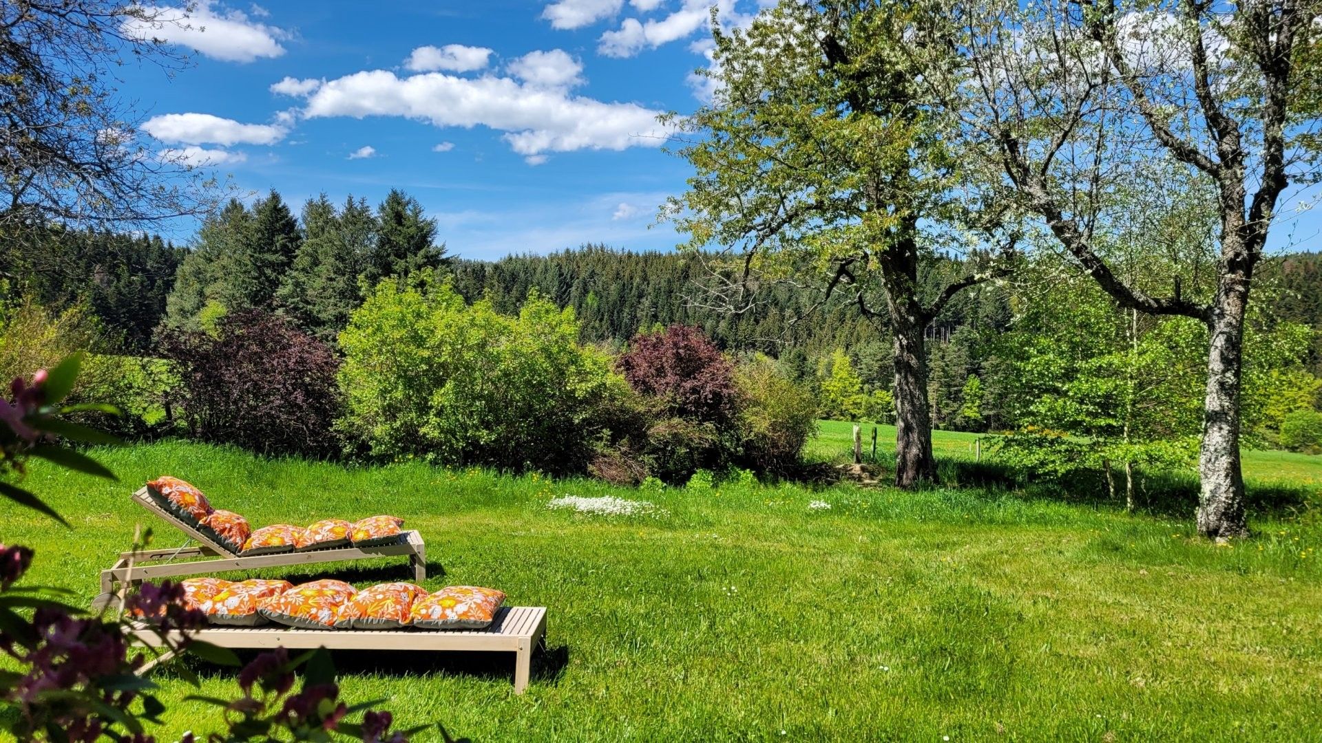 Un espacio al aire libre con césped, dos sillones de madera y un árbol.