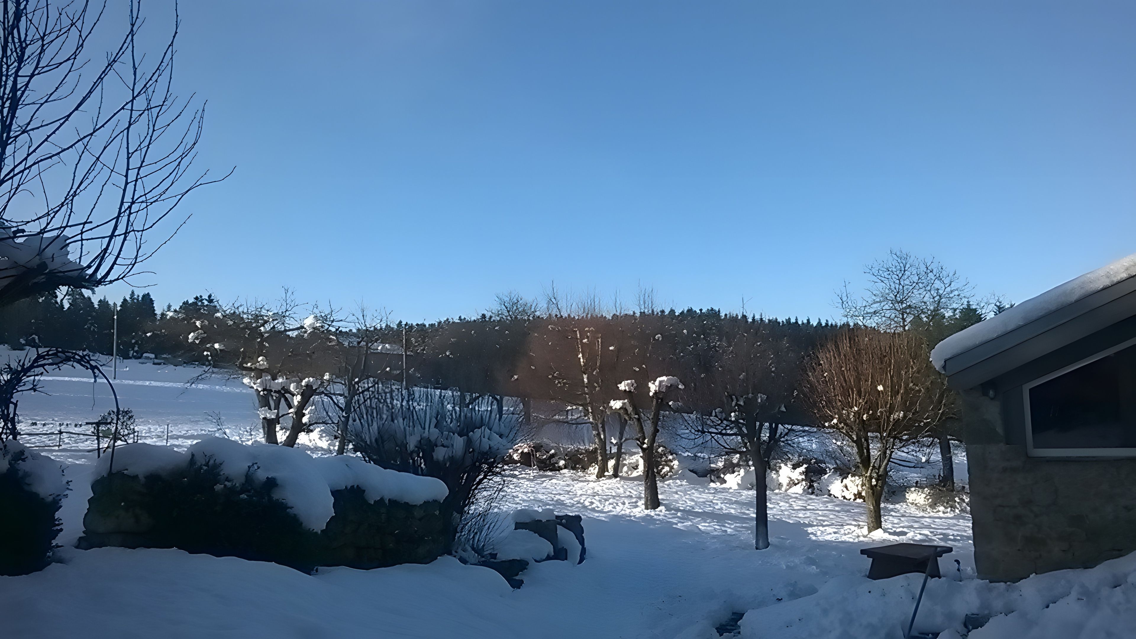 A snowy outdoor scene with a building, trees, and a clear sky.