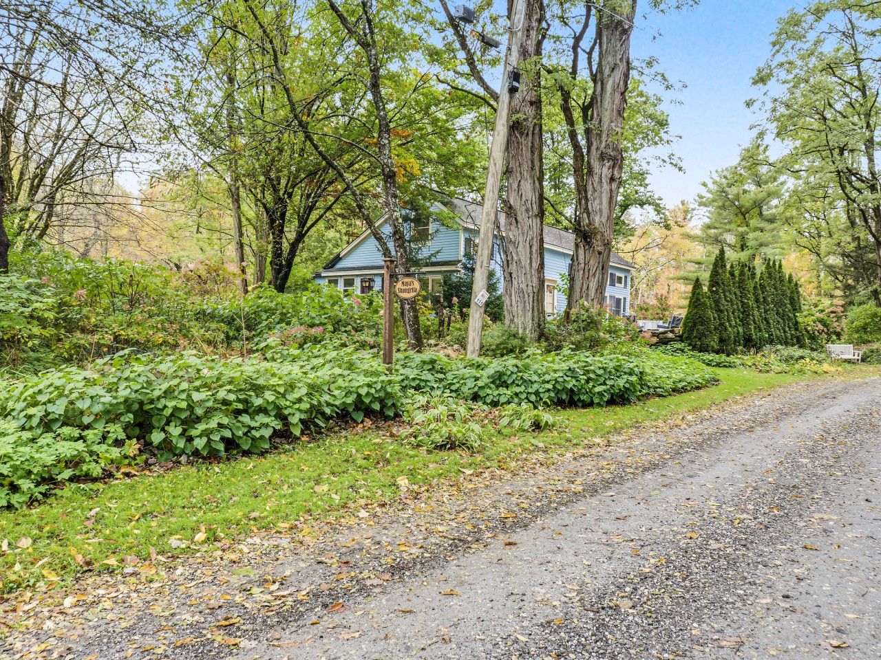 Una strada di campagna che conduce a una casa circondata da vegetazione e alberi fitti.