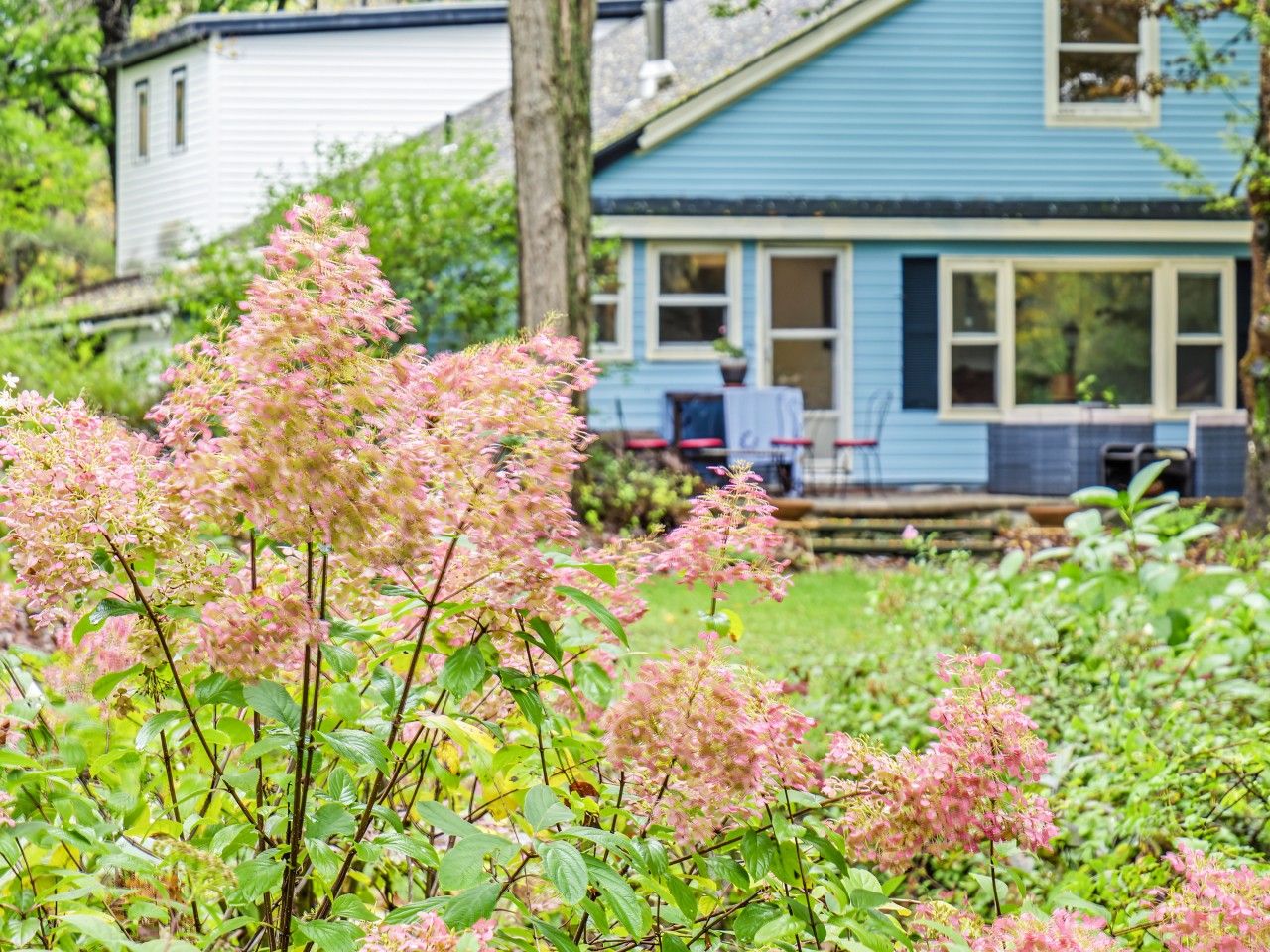 Un quartier résidentiel avec une maison dotée d’un porche et d’un jardin agrémenté de plantes à fleurs.