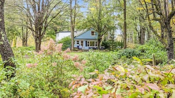 Ein Haus, umgeben von dichtem Wald mit verschiedenen Bäumen und Sträuchern.