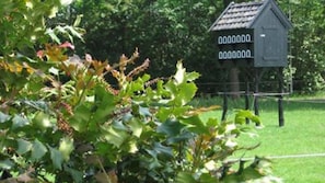 Ein Vogelhaus inmitten von Grün.