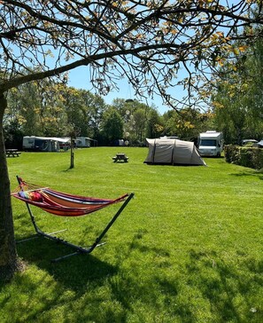 Ein grasbewachsenes Campinggelände mit Hängematte, Picknicktisch und Zelten.
