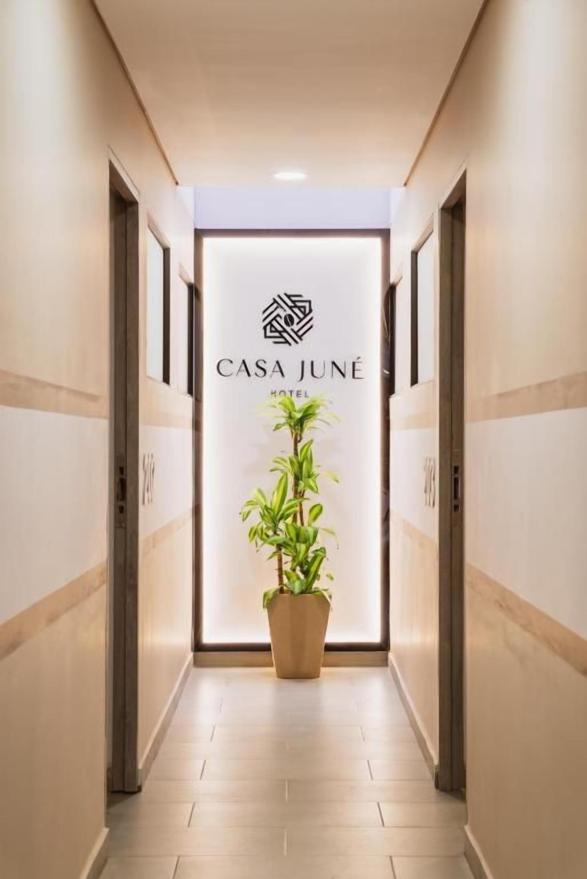 Un pasillo con un cartel que indica 'CASA JUNÉ HOTEL' y una planta en maceta.
