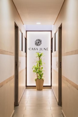 Un passadís amb un senyal per 'CASA JUNÉ HOTEL' i una planta en test.