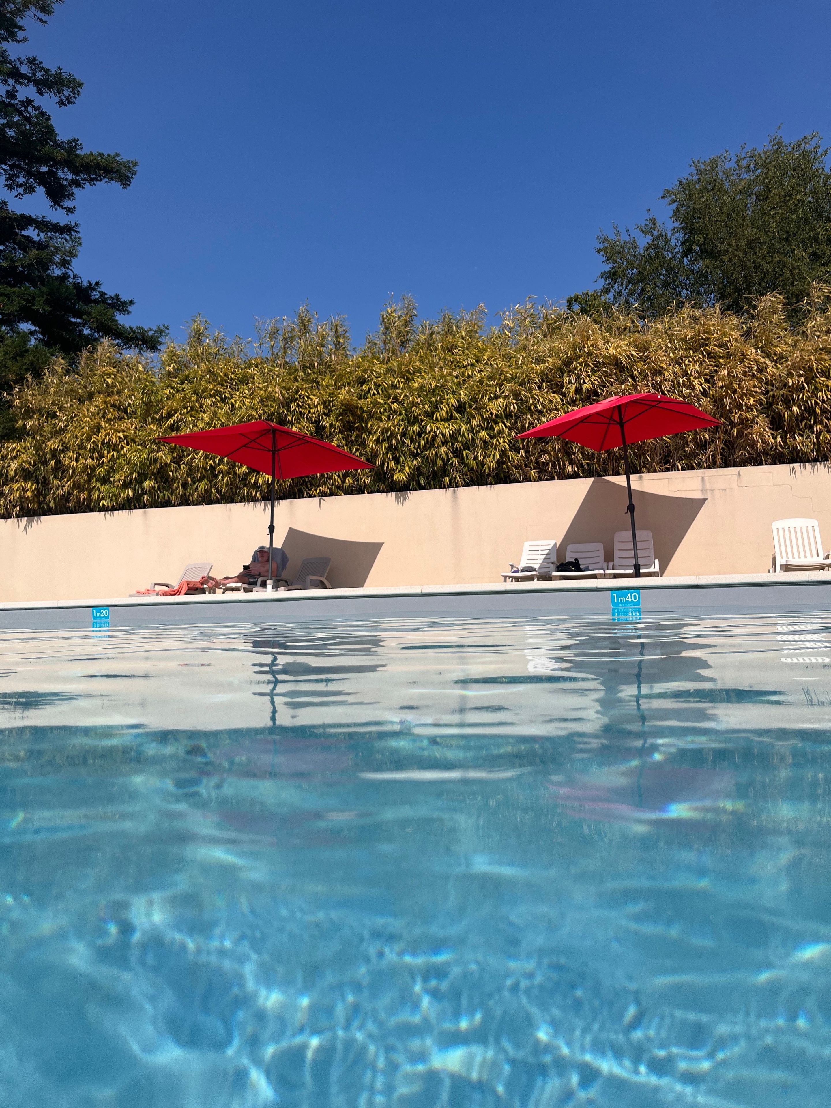 Une piscine à l’eau claire, deux parasols rouges, des chaises longues et un mur couvert d’arbres.