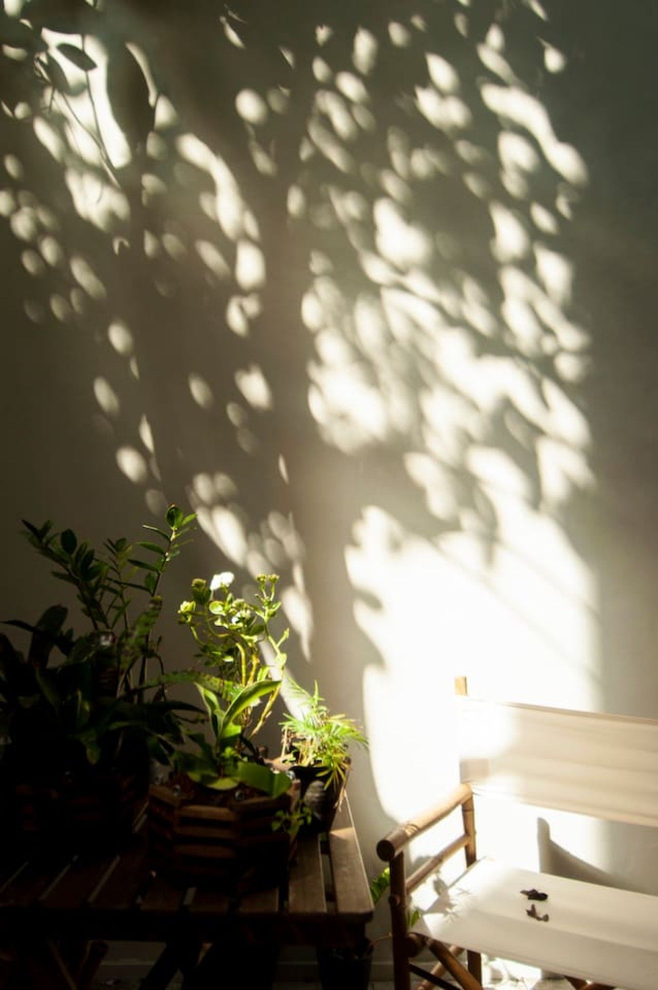 A room with a wooden bench, a table, and potted plants.