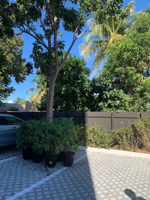 A parking area with a tree, a fence, and a car. - 302-Tropical Refuge Near Wynwood+Rubell Museum (Miami)
