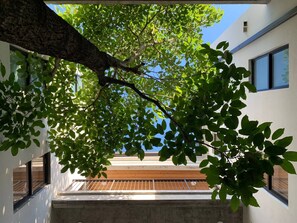 A modern building with a tree in the foreground, a balcony, and a view of the sky. - 302-Tropical Refuge Near Wynwood+Rubell Museum (Miami)
