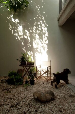 A room with a small table, chairs, and potted plants. - 301-Tropical Refuge Near Wynwood+Rubell Museum (Miami)