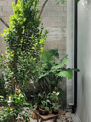 A small garden area with various potted plants and a wooden bench. - 301-Tropical Refuge Near Wynwood+Rubell Museum (Miami)