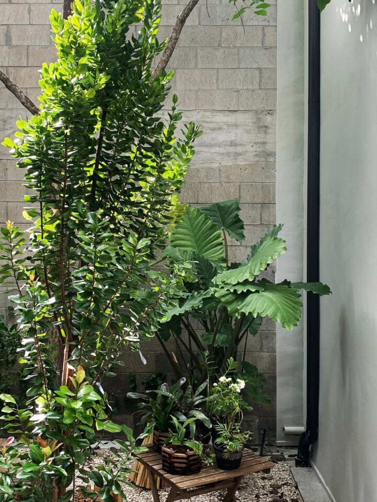 A small garden area with various potted plants and a wooden bench.