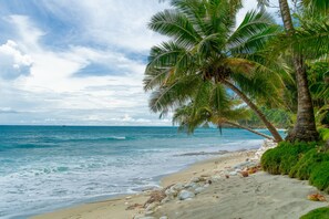 Ein Strand mit Palmen, Wellen und blauem Himmel.