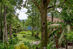 A lush garden with various tropical plants and trees, a clear view of the sky, and a distant body of water. - Casa Contiki – Treetop Villa in Matapalo (Matapalo)