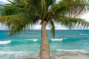 A palm tree by the ocean with waves. - Casa Santa María – Secluded Beachfront Home (Matapalo)
