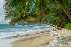 A beach with palm trees, ocean waves, and a stone wall. - Casa Santa María – Secluded Beachfront Home (Matapalo)