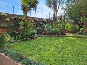 A well-maintained garden with various plants and a grassy lawn. - New Listing (Bento Gonçalves)
