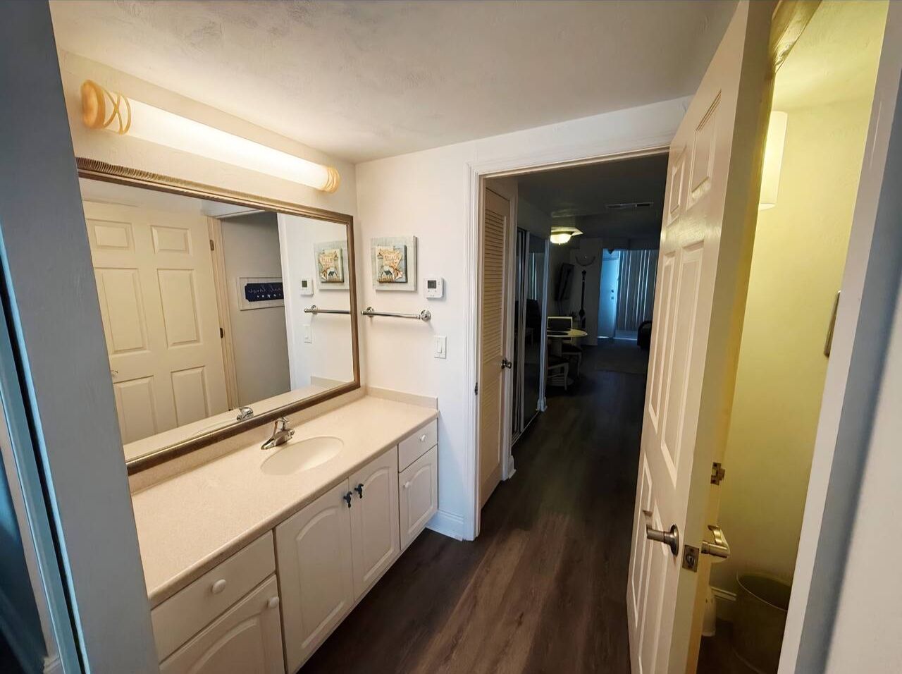Bright vanity area with large mirror, storage, and easy suite access