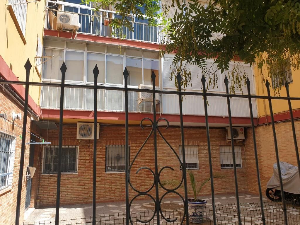 Une cour avec un bâtiment en briques, une clôture en métal noir et un pot de fleurs.