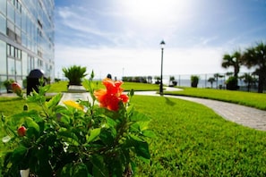 A well-maintained garden with a pathway, a building with large windows, and a clear sky. - Oceanview Deluxe Studio w/pool & kitchenette (Daytona Beach)