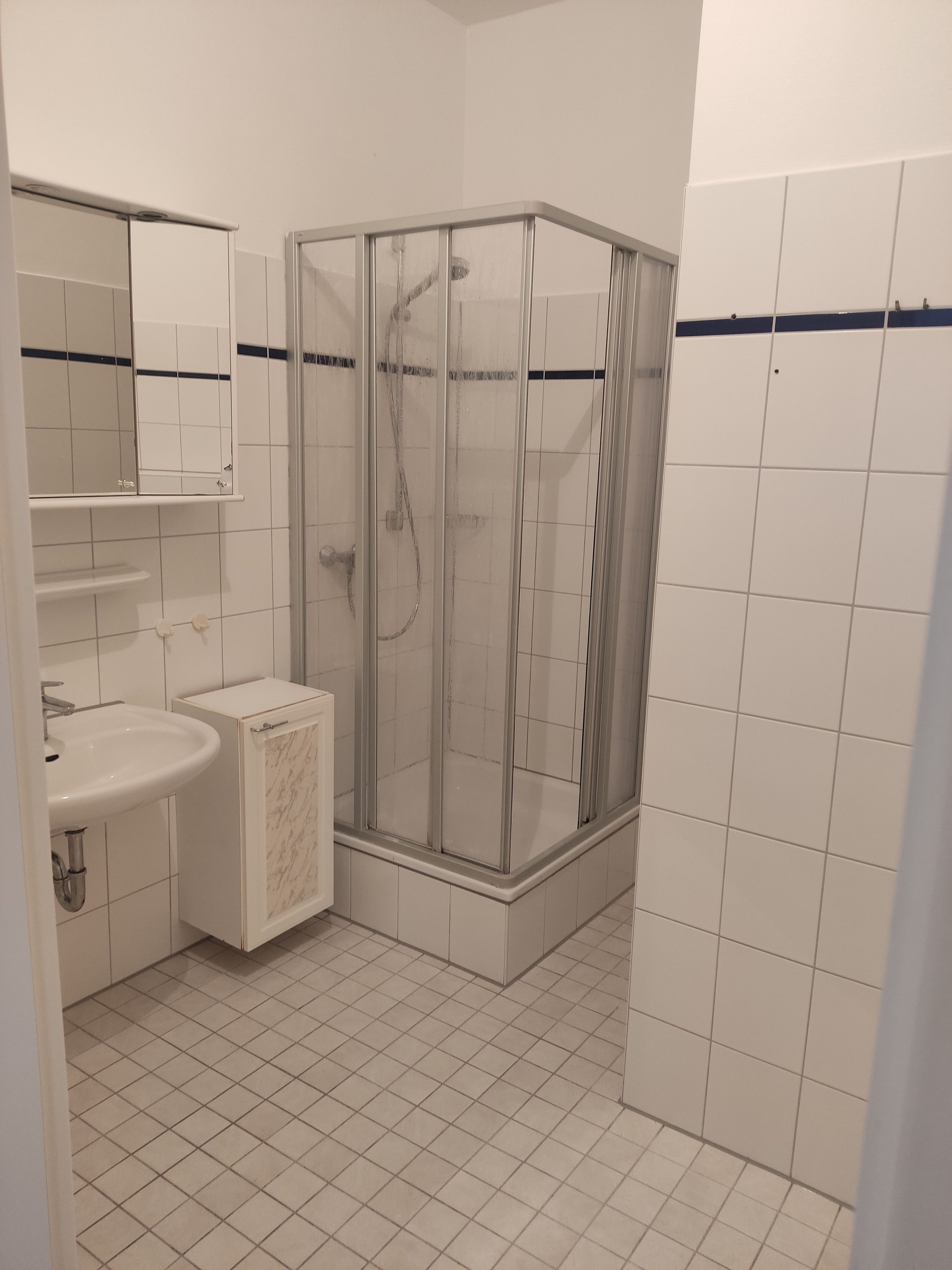 Une salle de bain avec une douche, un lavabo et un miroir.