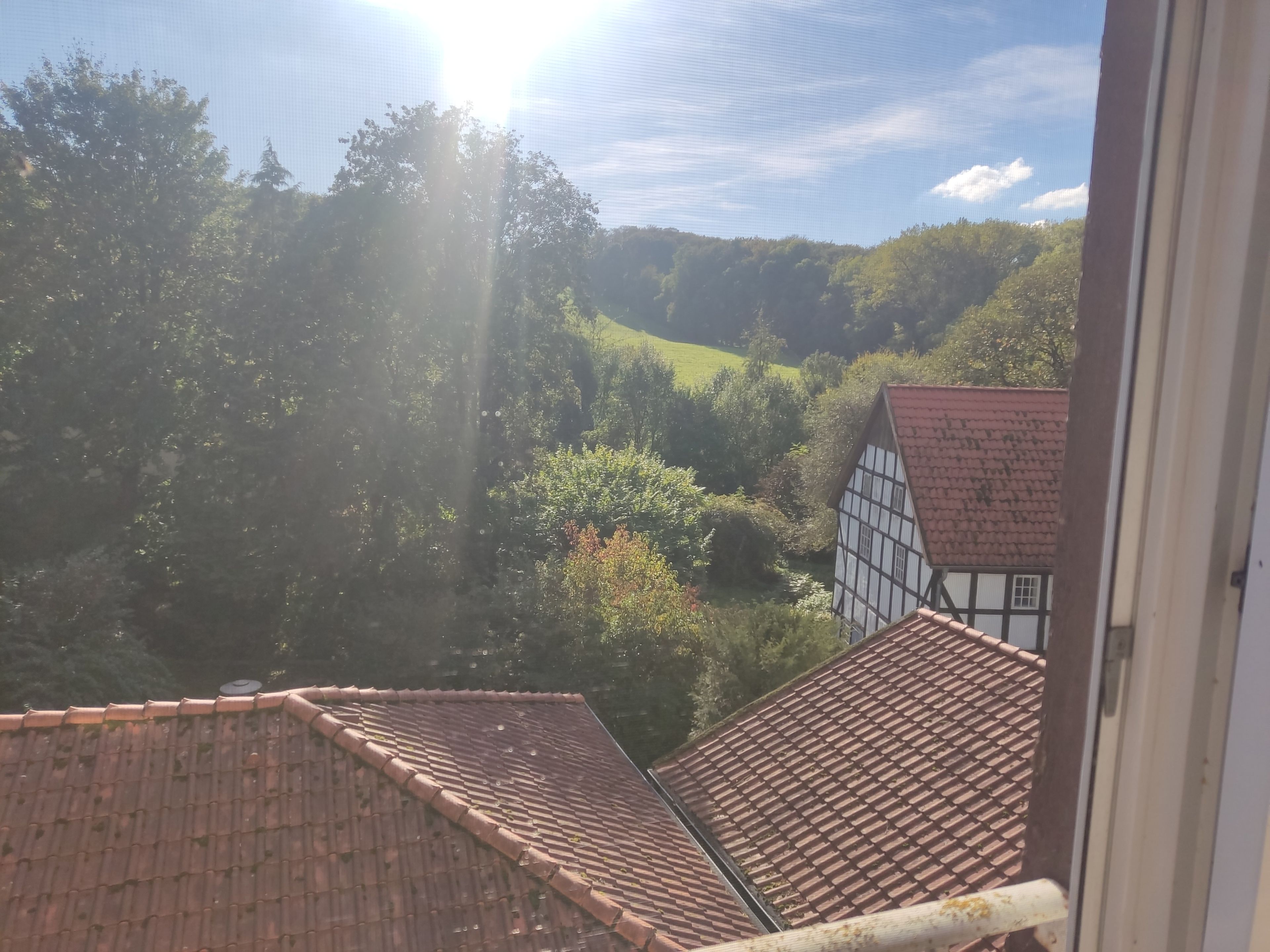 Ein Blick auf ein traditionelles Fachwerkhäuschen mit geneigtem Dach, umgeben von üppigem Grün und Hügeln im Hintergrund.