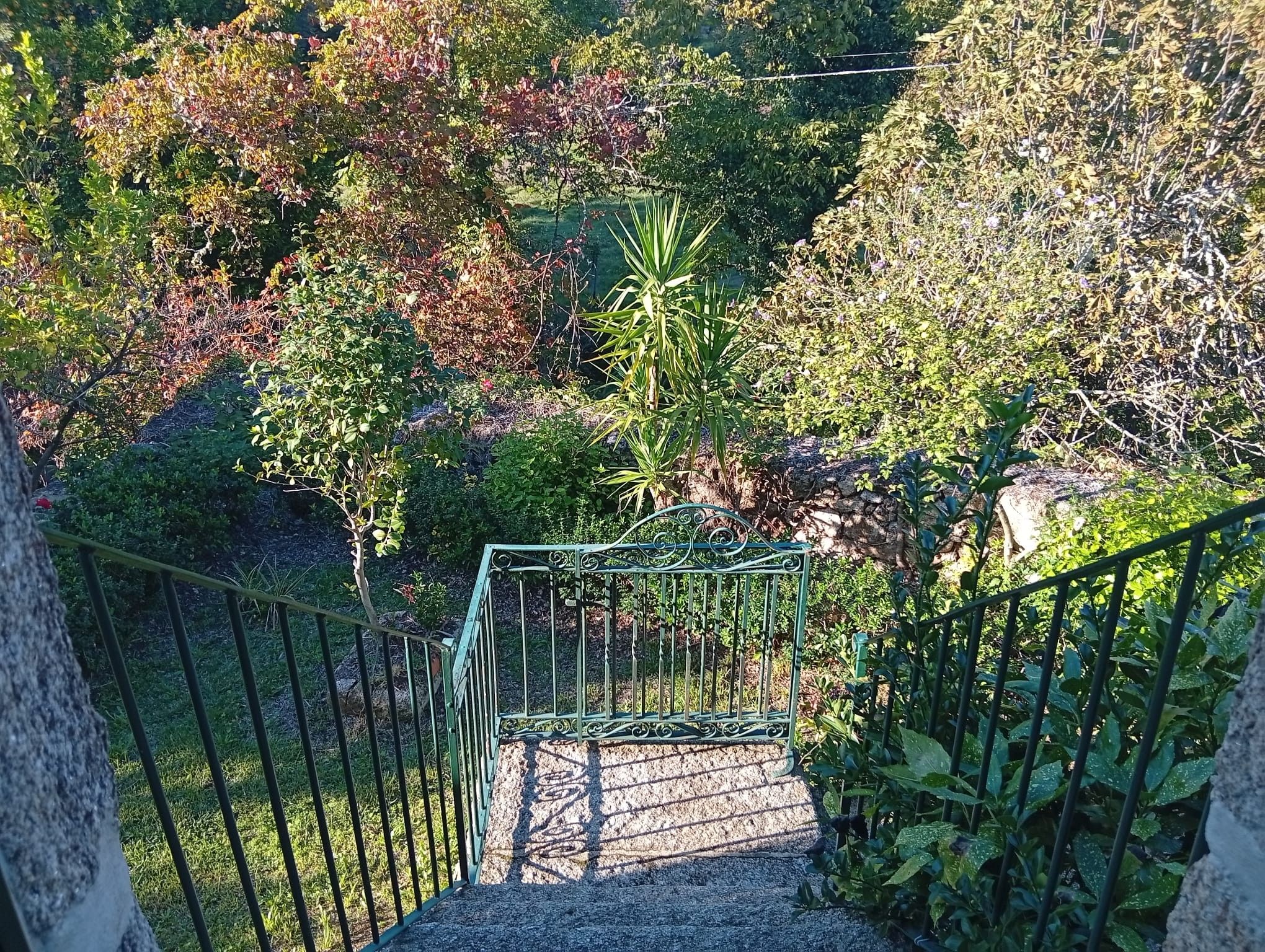 A staircase with a metal railing leading to a garden area with various plants and trees.