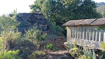 A rustic stone building with a thatched roof, surrounded by a variety of vegetation and a dirt path leading to it.