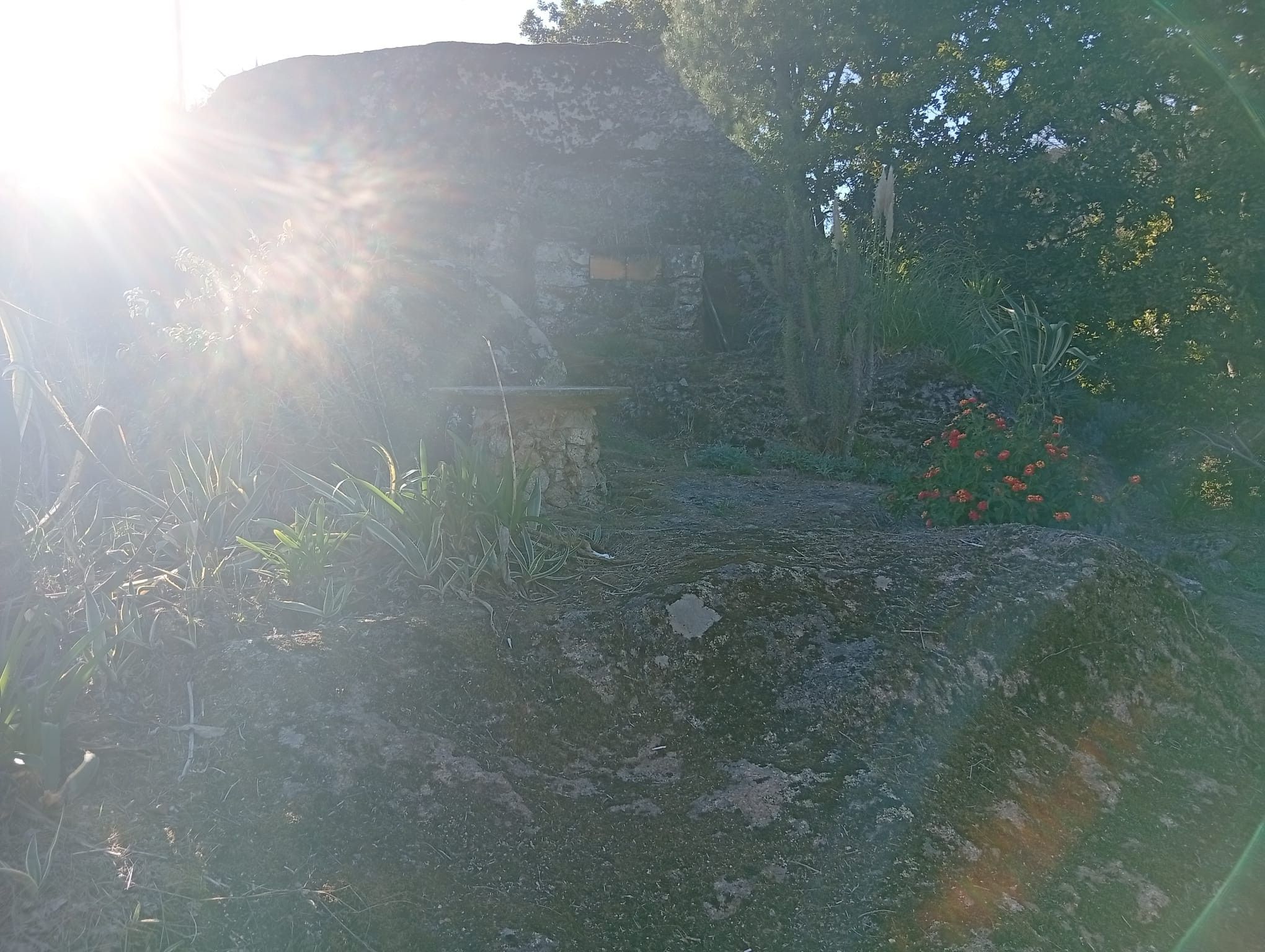 A stone structure with overgrown vegetation, a stone wall, and a small garden with red flowers.