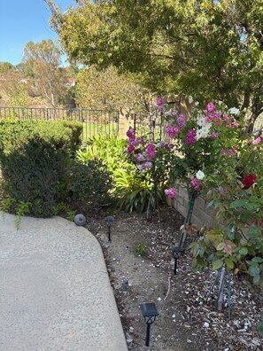 A garden with various plants and flowers, a concrete path, and a metal fence. - 3 Bedroom, 3 Bath home overlooking the 11th fairway on sunset Hill Golf Course (Thousand Oaks)