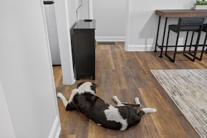 A happy place for your four-legged friends - Crown Downtown | Close to Uptown & Local Dining (Charlotte)