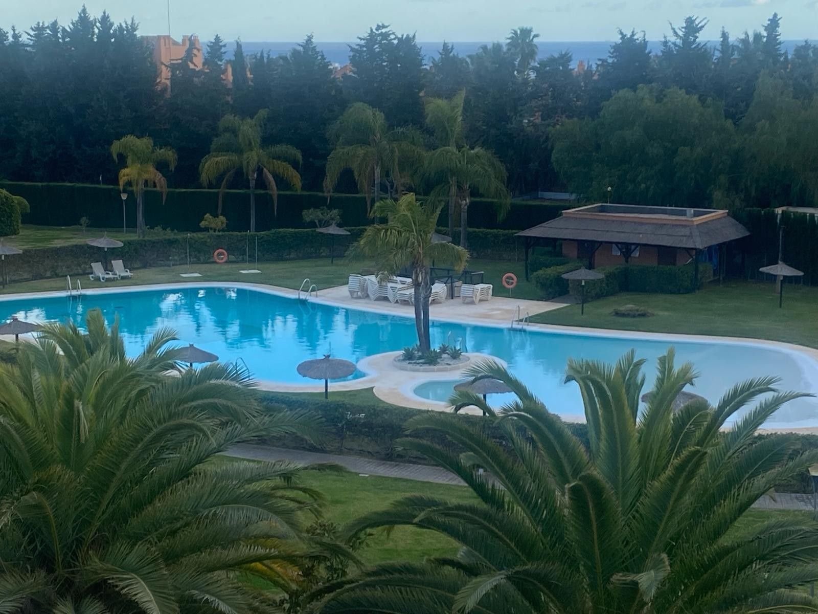 Ein Pool mit gebogener Form, umgeben von Palmen und Liegestühlen.