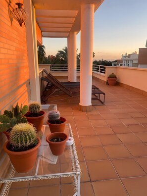 Une terrasse sur le toit agrémentée de cactus en pot, d’une table en métal et d’un escalier menant à un niveau supérieur.