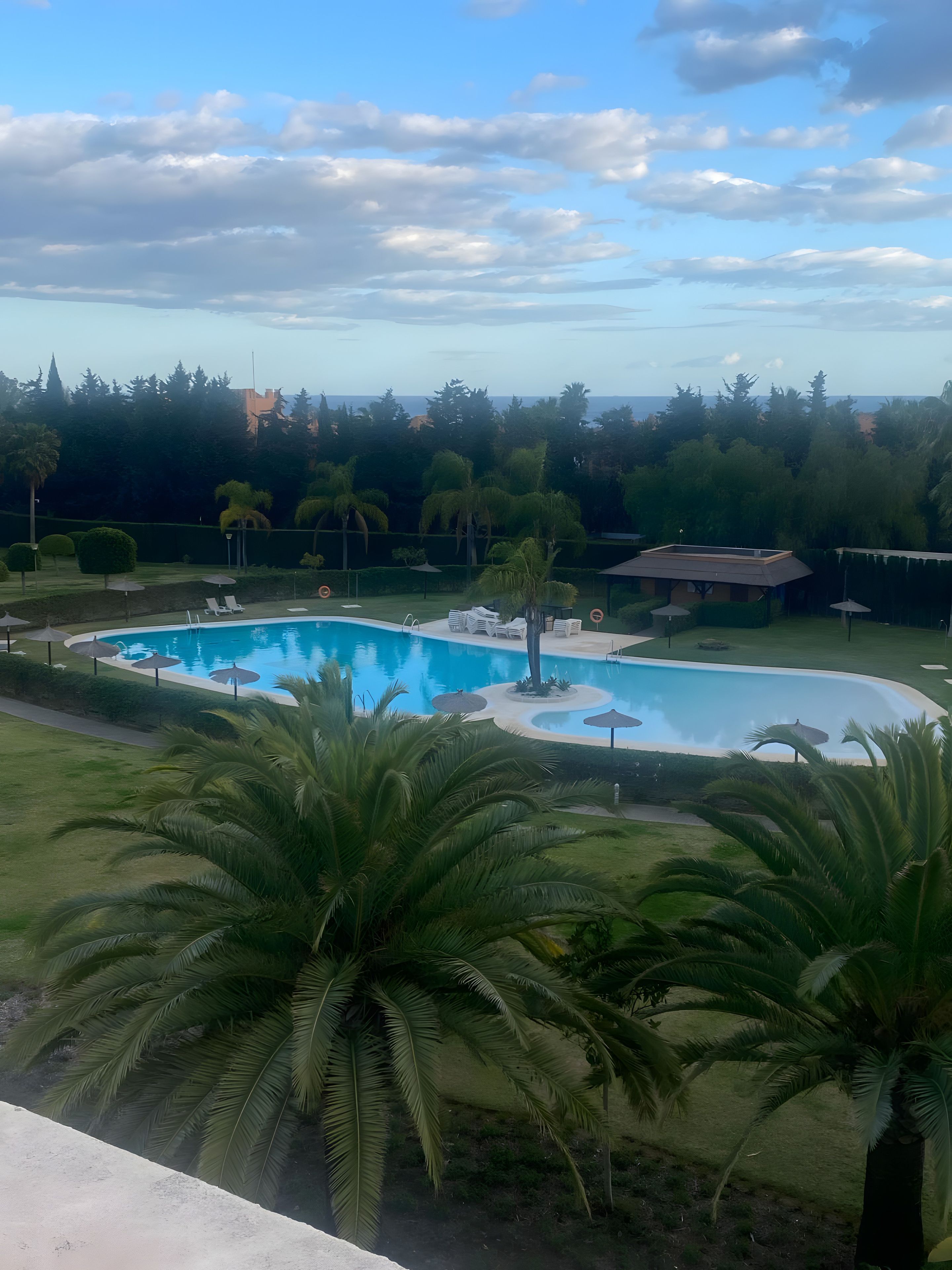 Ein Swimmingpool mit Liegestühlen und Sonnenschirmen, umgeben von Palmen und Blick auf eine entfernte Skyline.